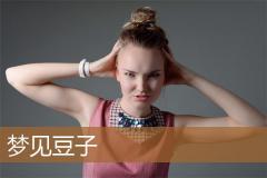 梦见豆子