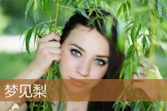 梦见梨