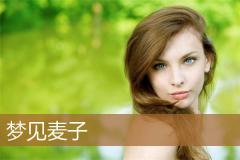 梦见麦子