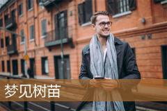 梦见树苗