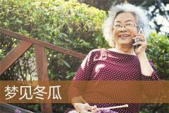 梦见冬瓜