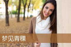 梦见青稞