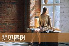 梦见椿树