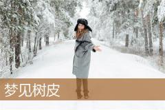梦见树皮