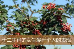十二生肖的女生爱一个人的表现