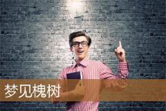 梦见槐树