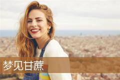 梦见甘蔗
