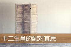 十二生肖的配对宜忌