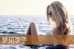 梦见李子