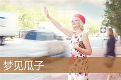 梦见瓜子