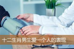 十二生肖男生爱一个人的表现