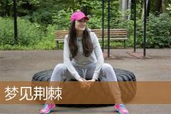梦见荆棘