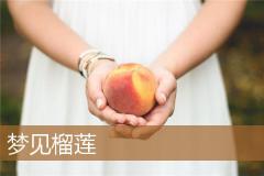 梦见榴莲