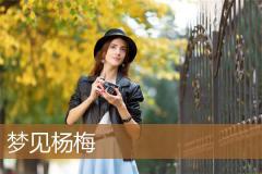 梦见杨梅