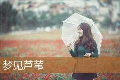 梦见芦苇