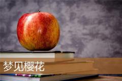 梦见樱花