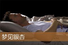 梦见银杏