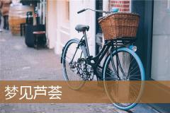 梦见芦荟