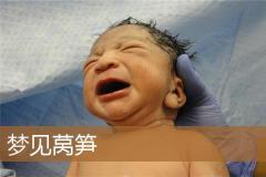 梦见莴笋