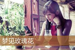 梦见玫瑰花