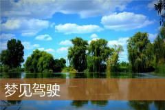 梦见驾驶