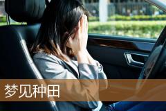 梦见种田