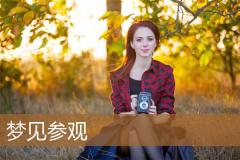 梦见参观