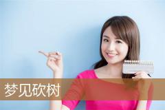 梦见砍树