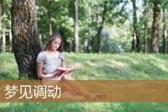 梦见调动
