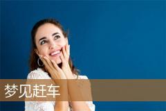梦见赶车