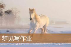 梦见写作业