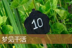 梦见干活