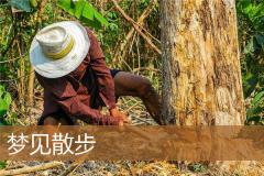 梦见散步