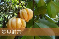 梦见射击