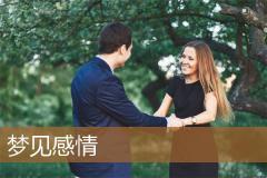 梦见感情