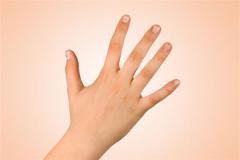 手相智慧线解读