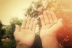 双手都是假断掌的女人