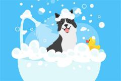 属狗的富豪是几月的