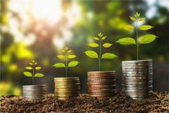 财位摆放什么招财