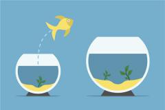 家庭养鱼风水讲究