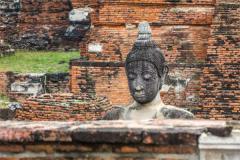 什么东西不能捡回家