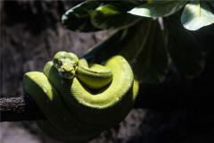 1989年的人运旺吗