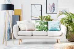 沙发背后挂鹿是什么意思