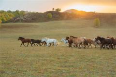 心经戒指要怎样戴