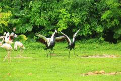 风水八骏图的挂法