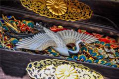 衣服为什么不能带仙鹤