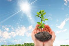 财运好的手相有哪些