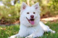 2018年的人一生运势