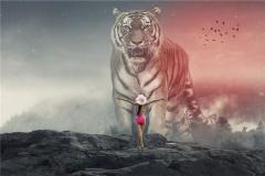 属虎的女人运势与婚姻好不好