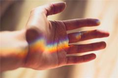 不花心的手和面相特征